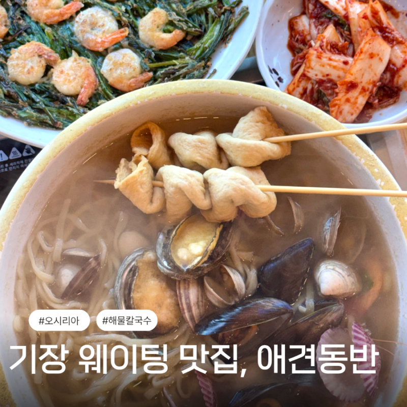 기장 오시리아 맛집 애견동반 용궁해물칼국수 동부산 롯데아울렛
