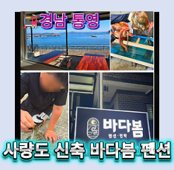 사량도 펜션 추천｜바다봄에서 문어·감성돔·해루질까지! 대항해수욕장 도보권 낚시 펜션 ....