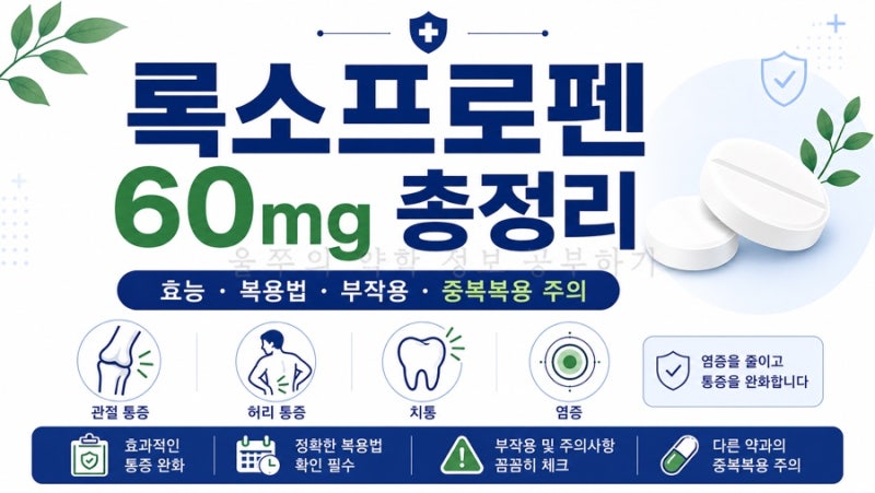 록소프로펜 60mg 총정리｜효능·복용법·부작용부터 다른 진통제와 중복 복용까지