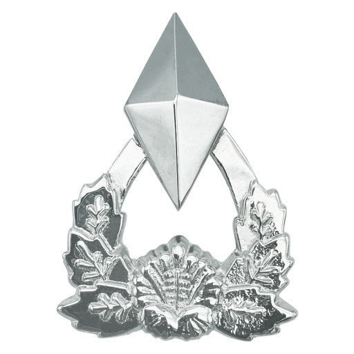 [ROTC] ‘소위’ 계급이 가진 진짜 의미는? 사관후보생에서 장교가 된다는 것!