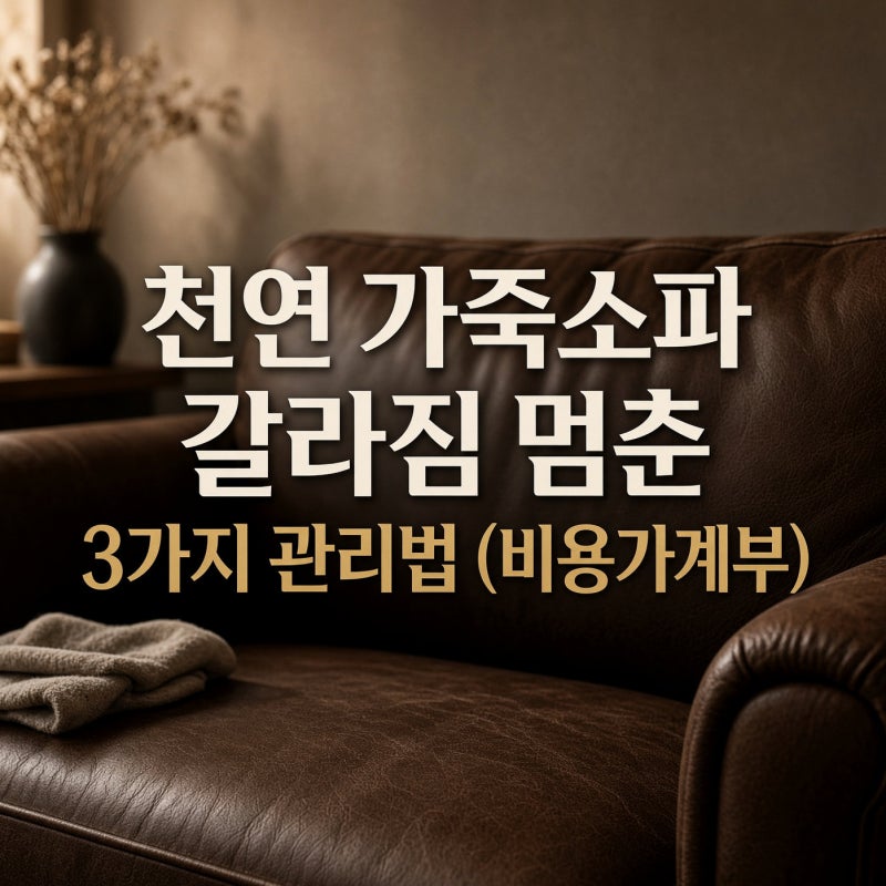 천연 가죽소파 갈라짐 멈춘 3가지 관리법 (비용가계부)