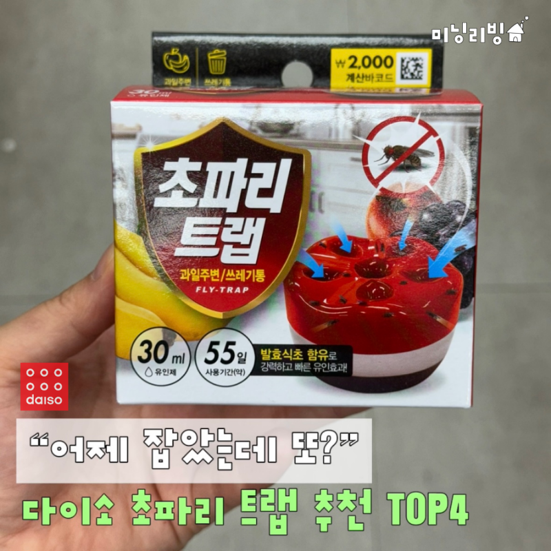 “어제 다 잡았는데 또?” 열받아서 산 다이소 초파리트랩 TOP4