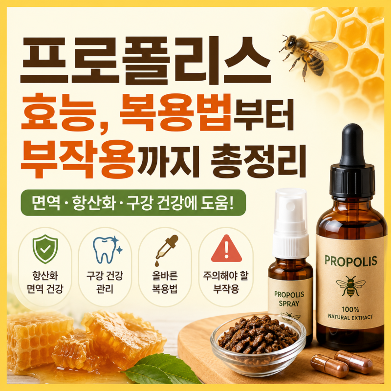 프로폴리스 효능, 복용법부터 부작용까지 총정리