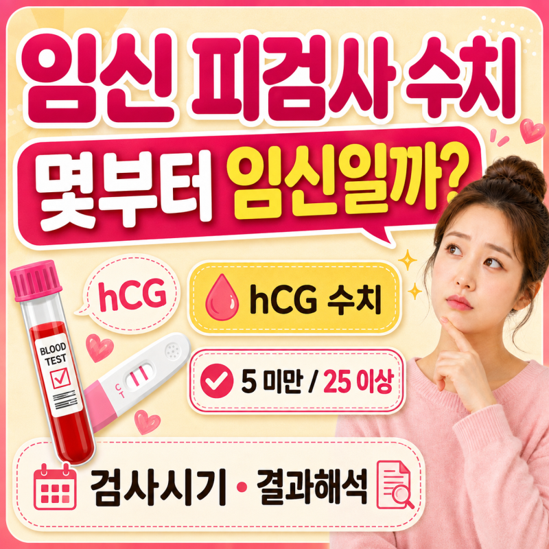 임신피검사수치 몇부터 임신일까? hCG 수치와 검사시기 총정리