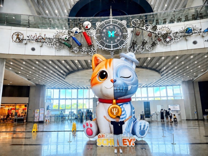 초등아이(9살)와 국립과천과학관 상설전시관, 양자세대 후기 전시기간 (feat. 다자녀할인, 주....