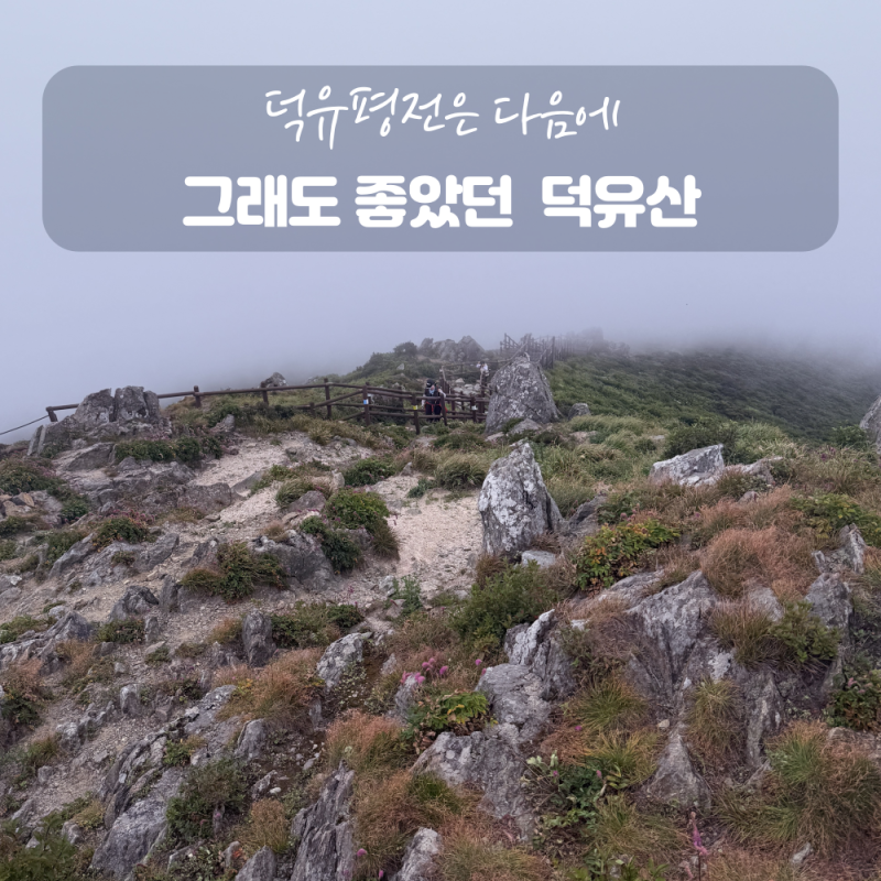 무주 덕유산 향적봉 곤도라 코스: 초보도 즐기는 여름 등산 후기