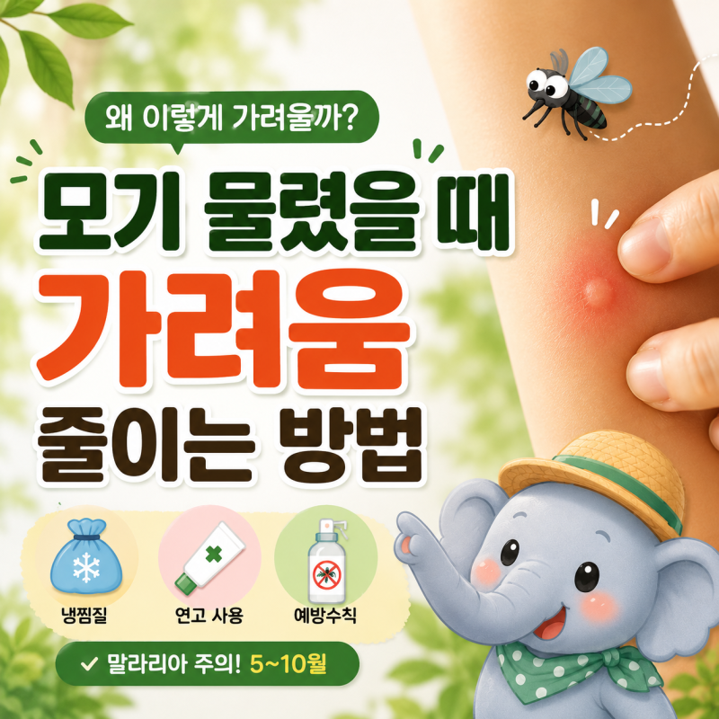 모기 물렸을 때 가려운 이유는? 긁기 전에 이렇게 해보세요