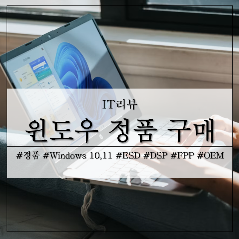 윈도우10 11 프로 정품 인증 Windows 업데이트 ESD, DSP, FPP, OEM 정의