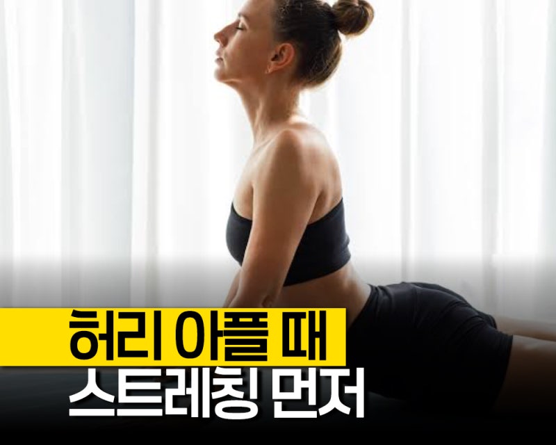 허리아플때운동 순서, 허리스트레칭 먼저 허리강화운동 나중인 이유