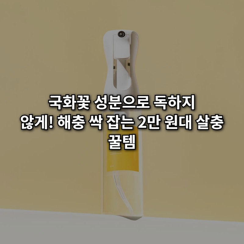 클린버그 빈대 퇴치약 28,900원! 국화꽃 추출물로 초파리까지 싹 잡는 법
