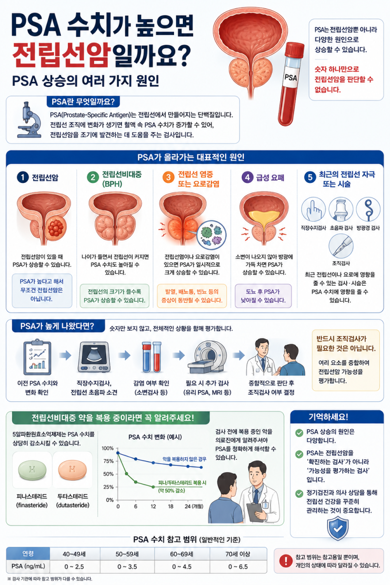 PSA 수치가 높으면 전립선암일까요?｜PSA 상승의 여러 가지 원인
