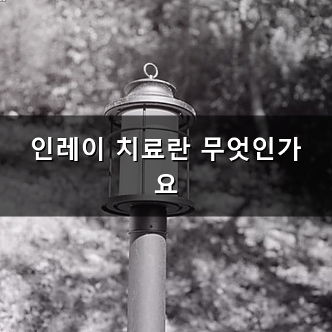 인레이 가격 치과 치료 종류별 비용과 선택 기준 정리