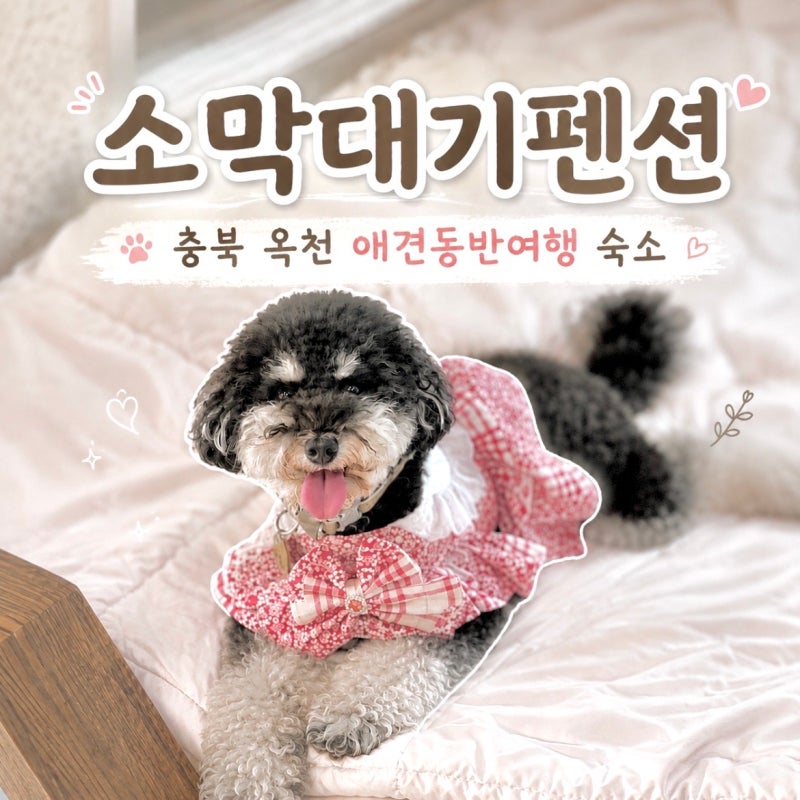 대전 근교 애견동반 숙소, 충북 옥천 강아지랑 가볼만한 곳 [소막대기 펜션] 후기
