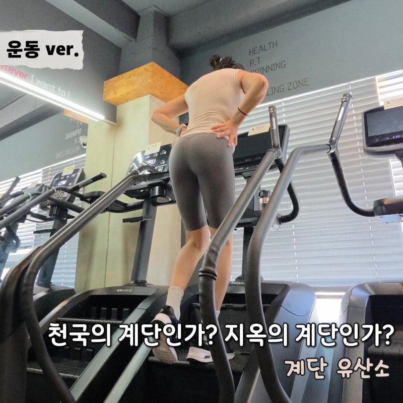 천국의 계단 사용법 공복 루틴 3가지 체지방 12% 유지비결 이라고?