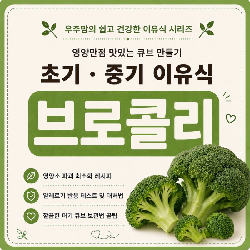 [초기/중기 이유식] 쉽고 간단한 브로콜리 큐브 완벽 조리법 (ft. 궁합 & 주의사항)