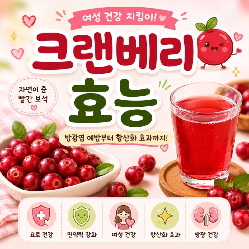크렌베리효능, 방광염에 정말 좋을까? 크렌베리 하루 섭취량과 부작용 정리