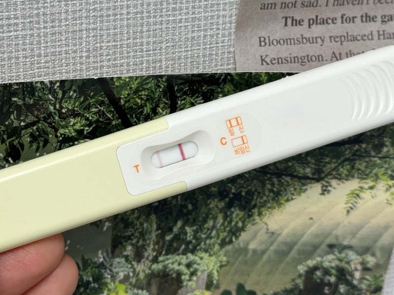 [임신일기] 인공수정부터 임신까지, 그리고 화유의 이야기. 더딘 임테기, 늦은 착상, 화유 증....