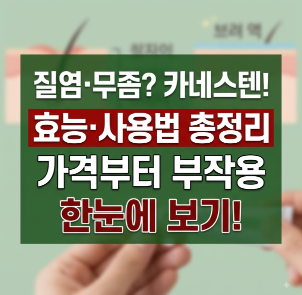 [카네스텐 연고 효능·사용법] 질염·무좀 치료부터 가격, 부작용 총정리