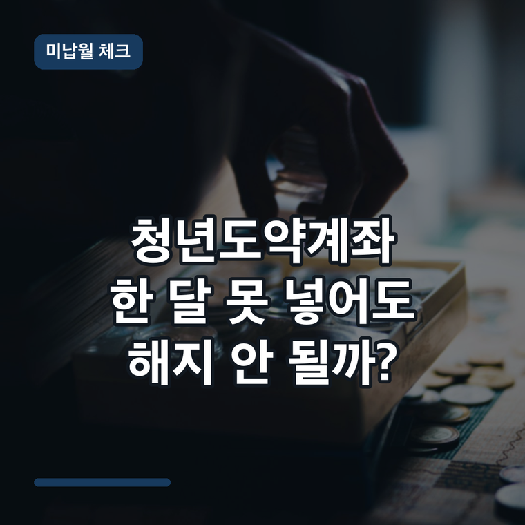 청년도약계좌 한 달 못 넣으면 해지될까? 미납월 정부기여금·만기 영향