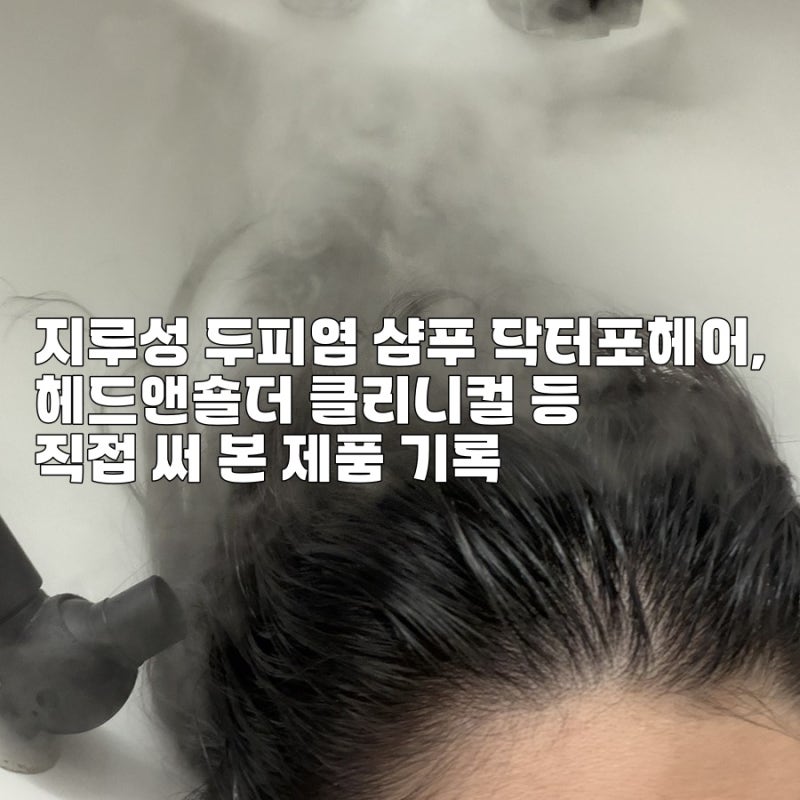 지루성 두피염 샴푸 닥터포헤어, 헤드앤숄더 클리니컬 등 직접 써 본 제품 기록
