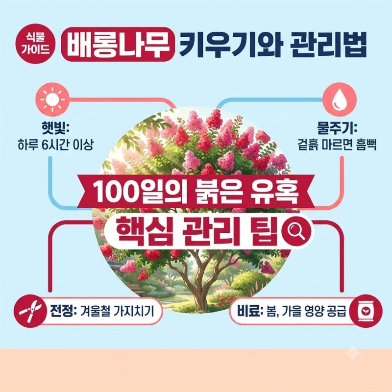 배롱나무 키우기와 관리법 마당에 직접 심어보니 진짜 핵심은… 전정