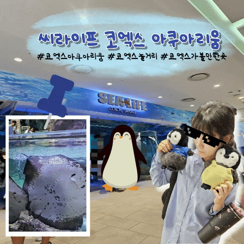 서울실내가볼만한곳 씨라이프 코엑스 아쿠아리움 주차 할인 실내데이트 후기