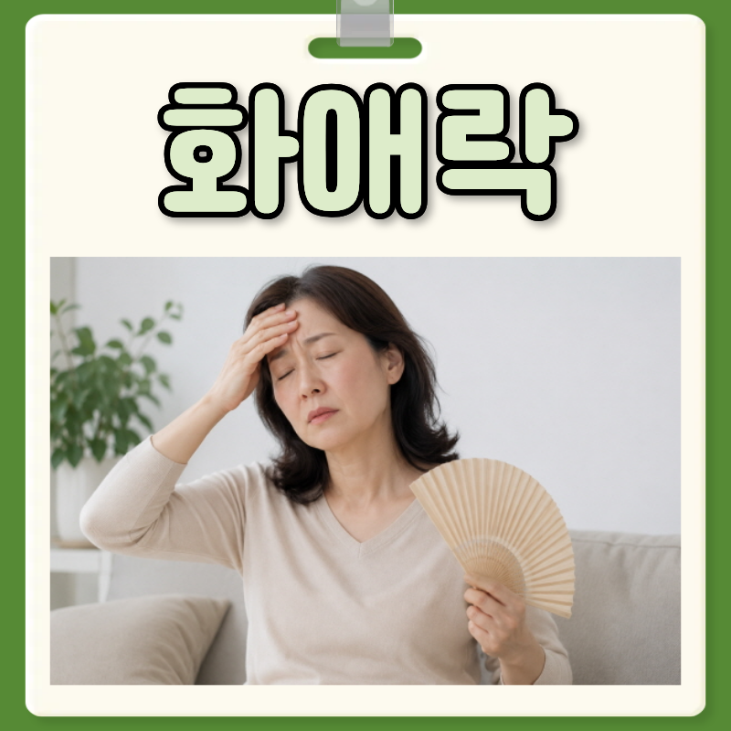 화애락 효능 부작용 화애락 성분 가격