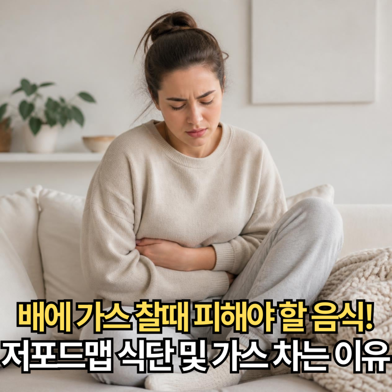 배에 가스 찰때 피해야 할 음식! 저포드맵 식단 및 가스 차는 이유