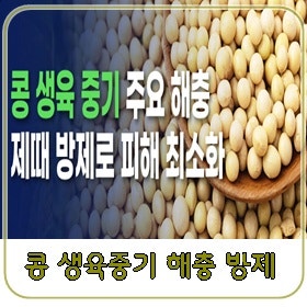 콩 생육중기 해충 방제