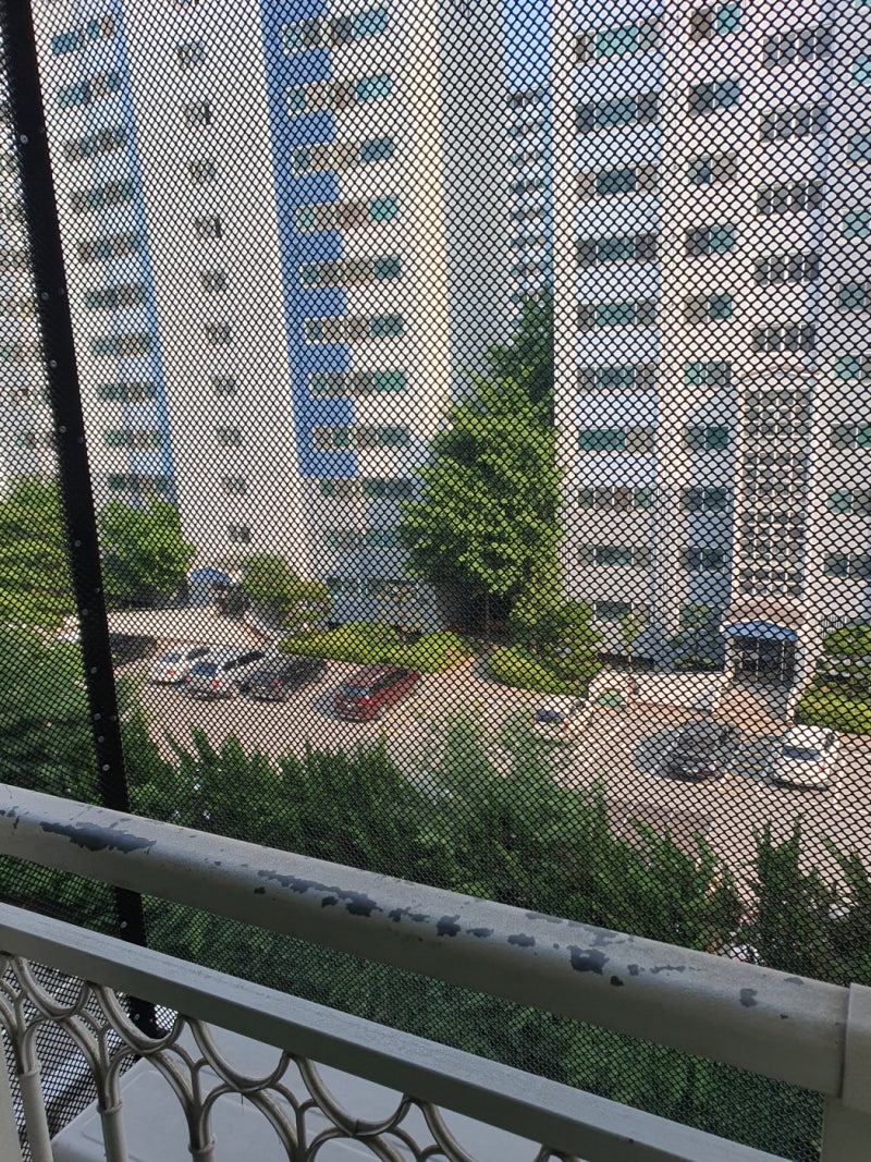 화성 동탄 아파트 실외기실 비둘기 똥 청소, 비둘기퇴치 방법