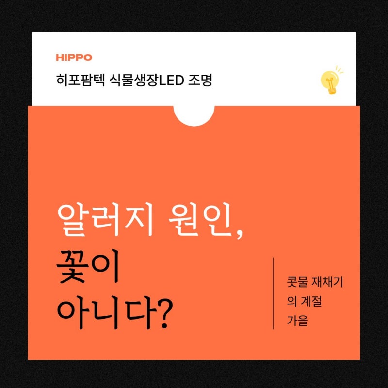 가을 알러지 원인은 꽃이 아니다? 콧물·재채기를 부르는 돼지풀과 집먼지진드기