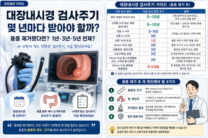대장내시경 검사주기 몇 년마다? 용종 제거 후 1년·3년·5년 언제 받아야 할까