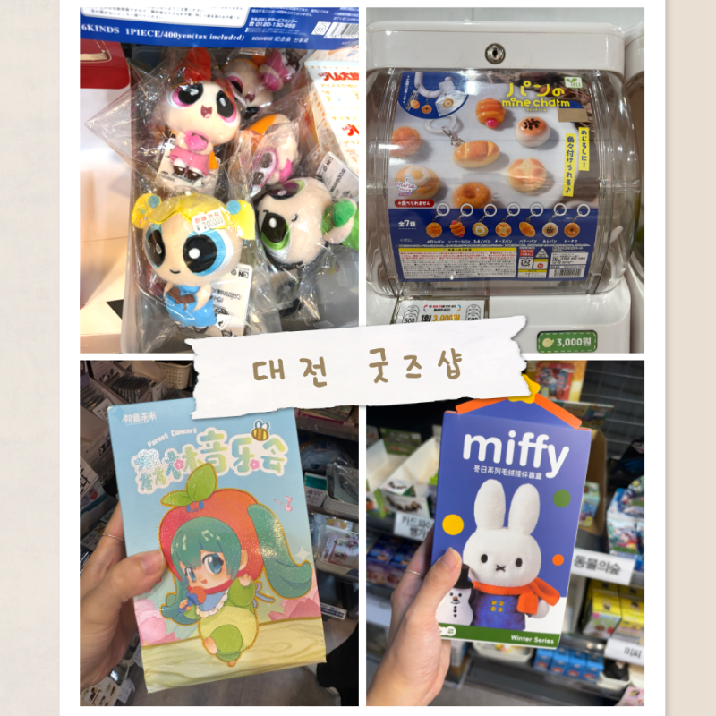 대전 굿즈샵 투어 마음에 들었던 곳들