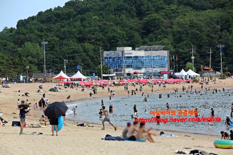 인천 영종도 가볼만한곳 을왕리해수욕장 영종도 놀거리