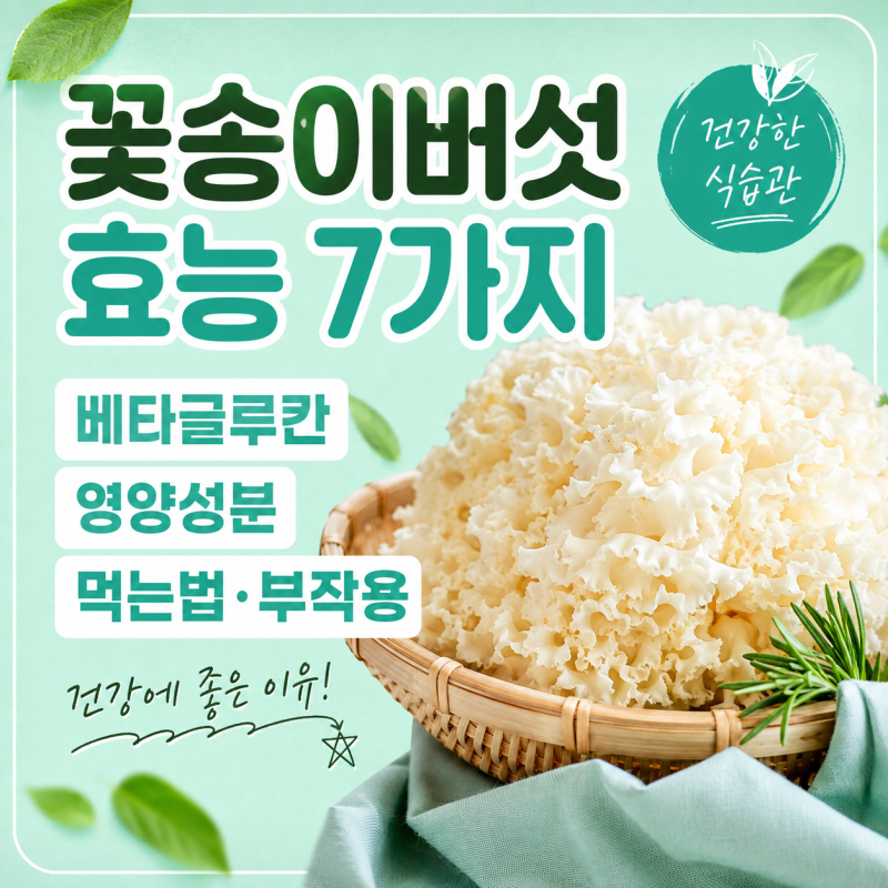 꽃송이버섯 효능 7가지｜베타글루칸 영양성분부터 먹는법·부작용까지