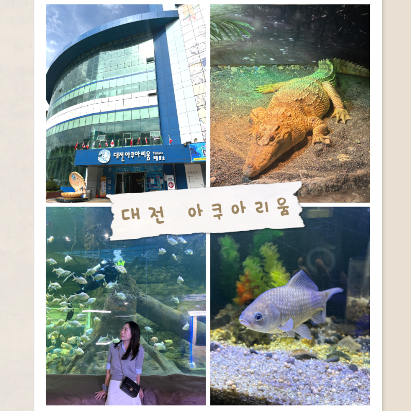대전 아쿠아리움 할인 방법&보문산쪽 추천 이유