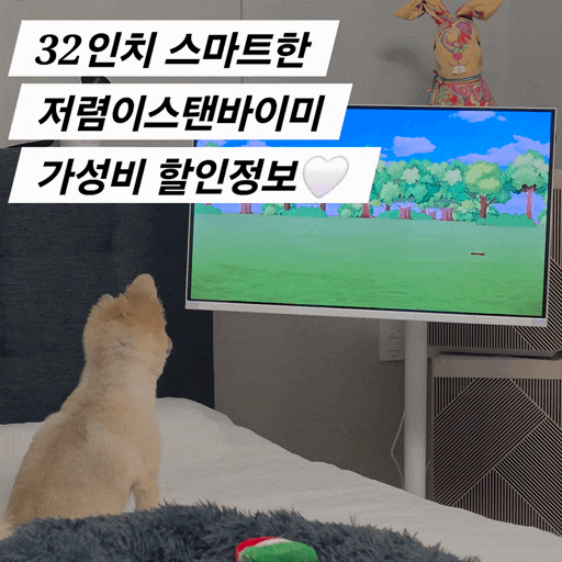 저렴이 스탠바이미 비교 필요없을만큼 가성비좋은 32인치 한성 삼탠바이미 후기