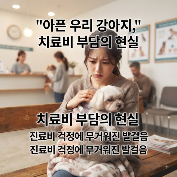반려동물 보험 강아지 고양이 추천, 후회 없이 고르는 법