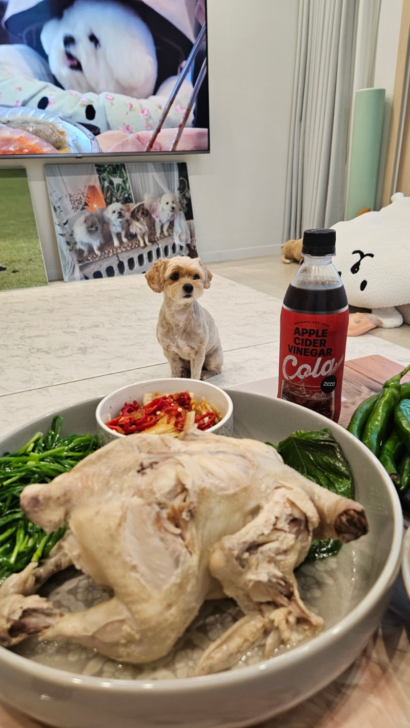 휘슬러 비타퀵 프리미엄 압력솥(2.5L+4.5L)을 이용한 누룽지 삼계탕 만들기+참나물 무침