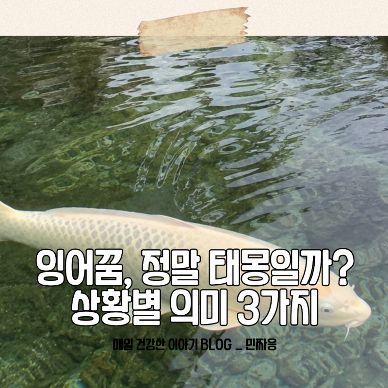 잉어꿈은 아들 태몽일까? 크기와 색깔에 따라 달라지는 의미