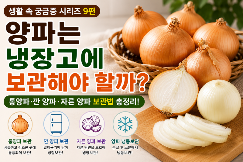 양파 냉장보관 해야 할까? 통양파·깐 양파·자른 양파 보관법