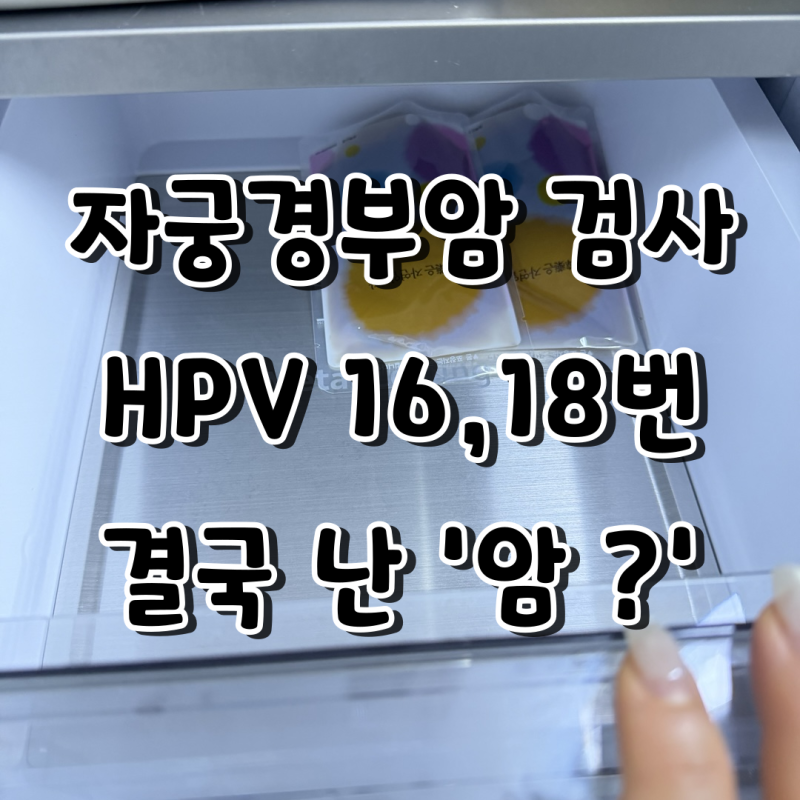 자궁경부암 검사 결과 HPV 바이러스 16,18번 통증, 종합병원으로 전원 후기 (1편)