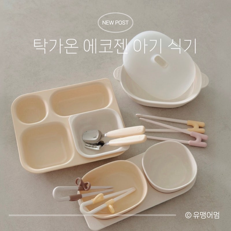 유아 식판 추천 | 탁가온 4구·2구 식판 내돈내산 장단점 솔직 후기