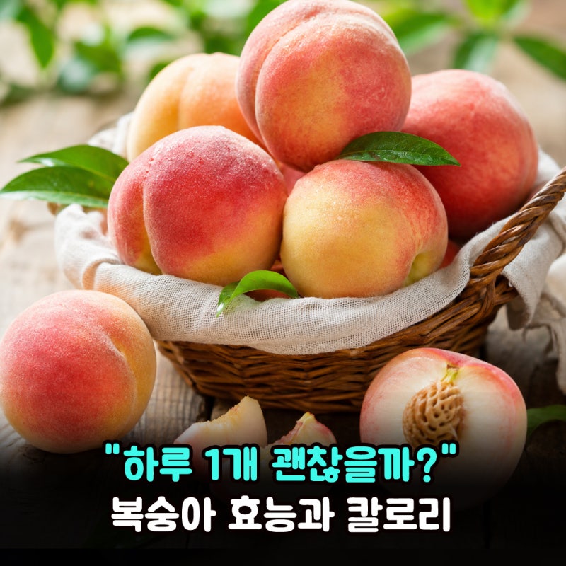 "하루 1개 괜찮을까?" 복숭아 효능과 칼로리, 먹기 전 꼭 알아둘 주의사항