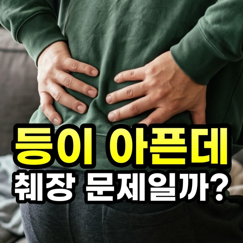 등 가운데 통증, 췌장 때문일까요? 음식 먹고 아프다면 확인할 것