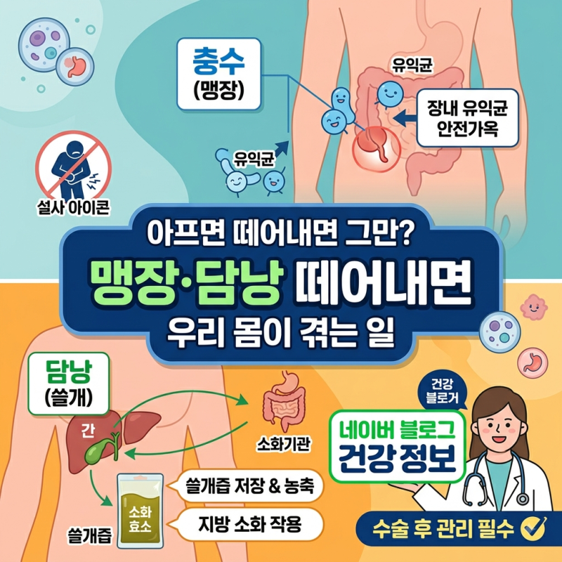 맹장수술 후유증 및 담낭절제술 후 설사 원인: 장기 절제 후 건강 관리법