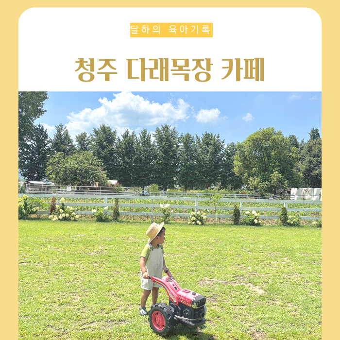 청주 다래목장 카페 내수읍 아이랑 체험 아이스크림 요거트 후기