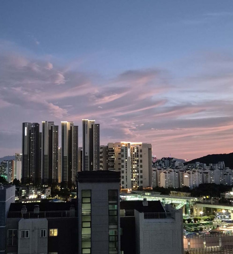 8. 11(화) 경찰참고기사