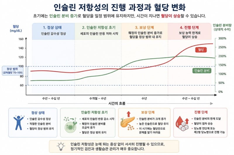 인슐린 저항성이 뭐길래 혈당이 정상이어도 안심할 수 없을까? 대사증후군과 인슐린 저항성 ....