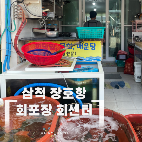 장호항 회포장 어디서 하지? 현지인이 알려준 임원항 영신횟집 회센터